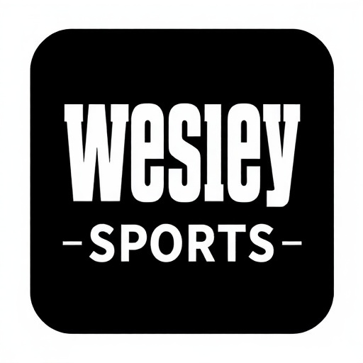 Wesley Sports Nieuws Logo